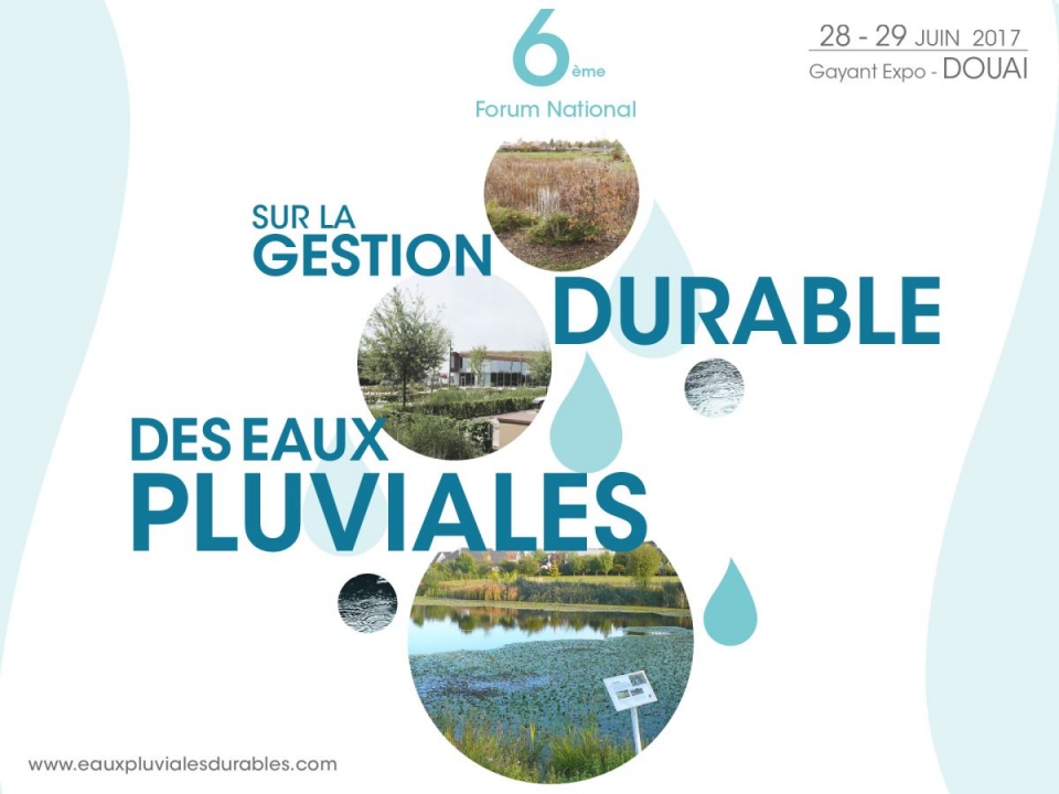 illustration_reseau_ideal.jpg