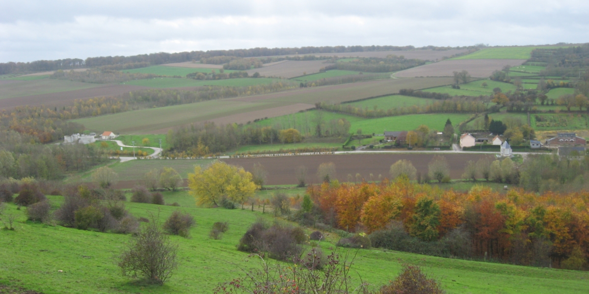 20101104_291.jpg