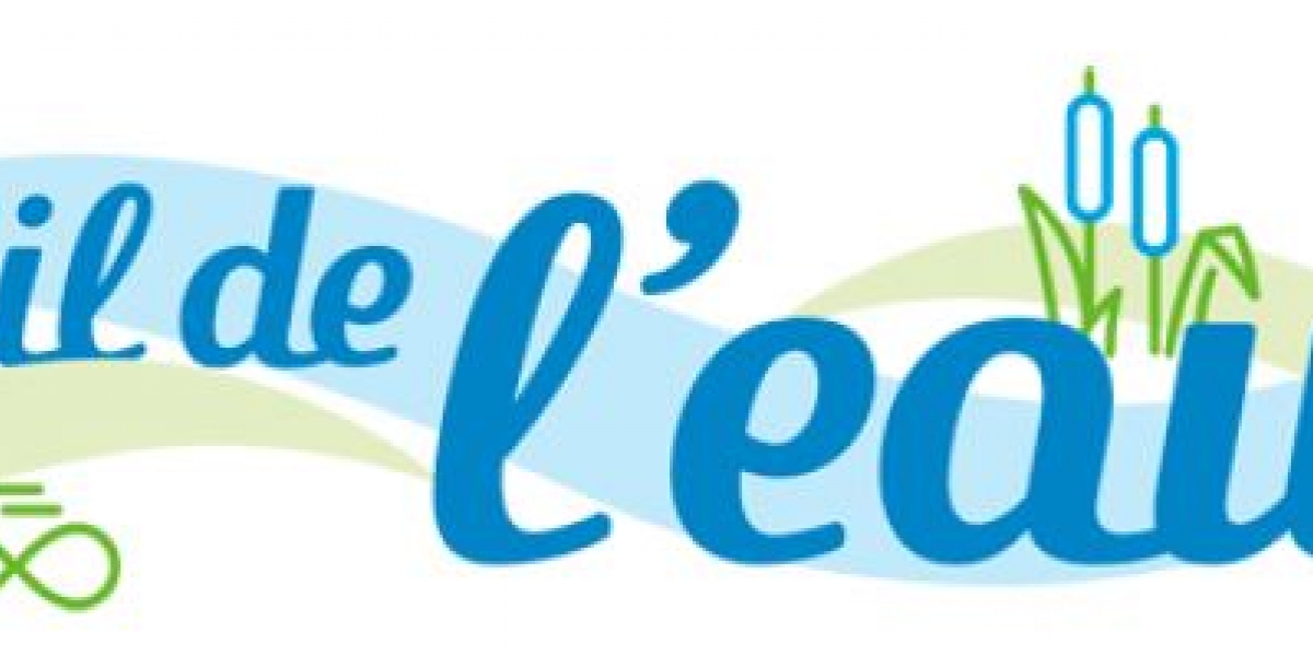 au_fil_de_leau.jpg