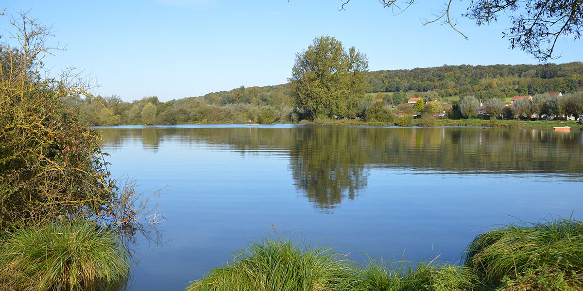 dsc_0127.jpg