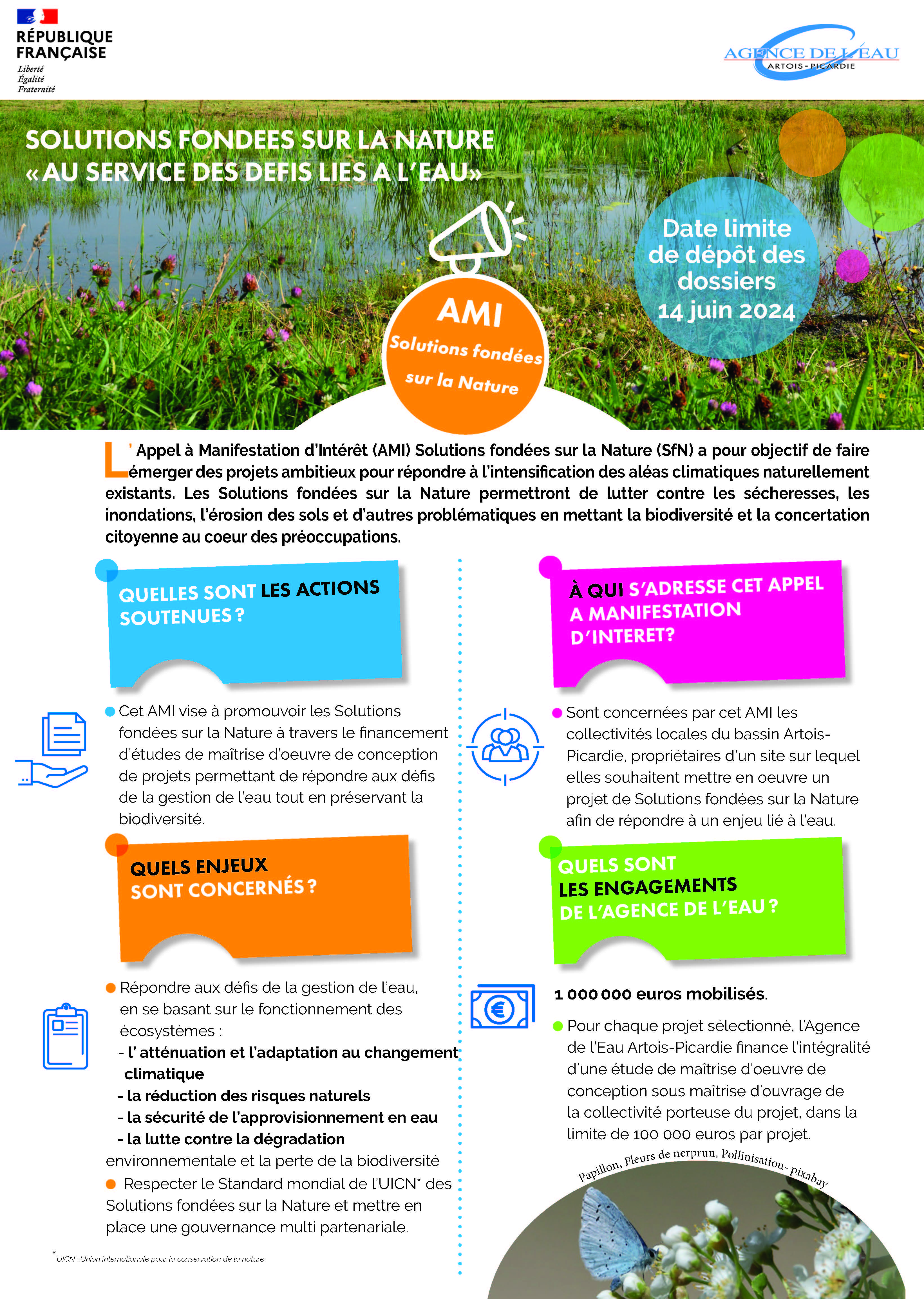 aap_ami_sfn_2024_page_1.jpg