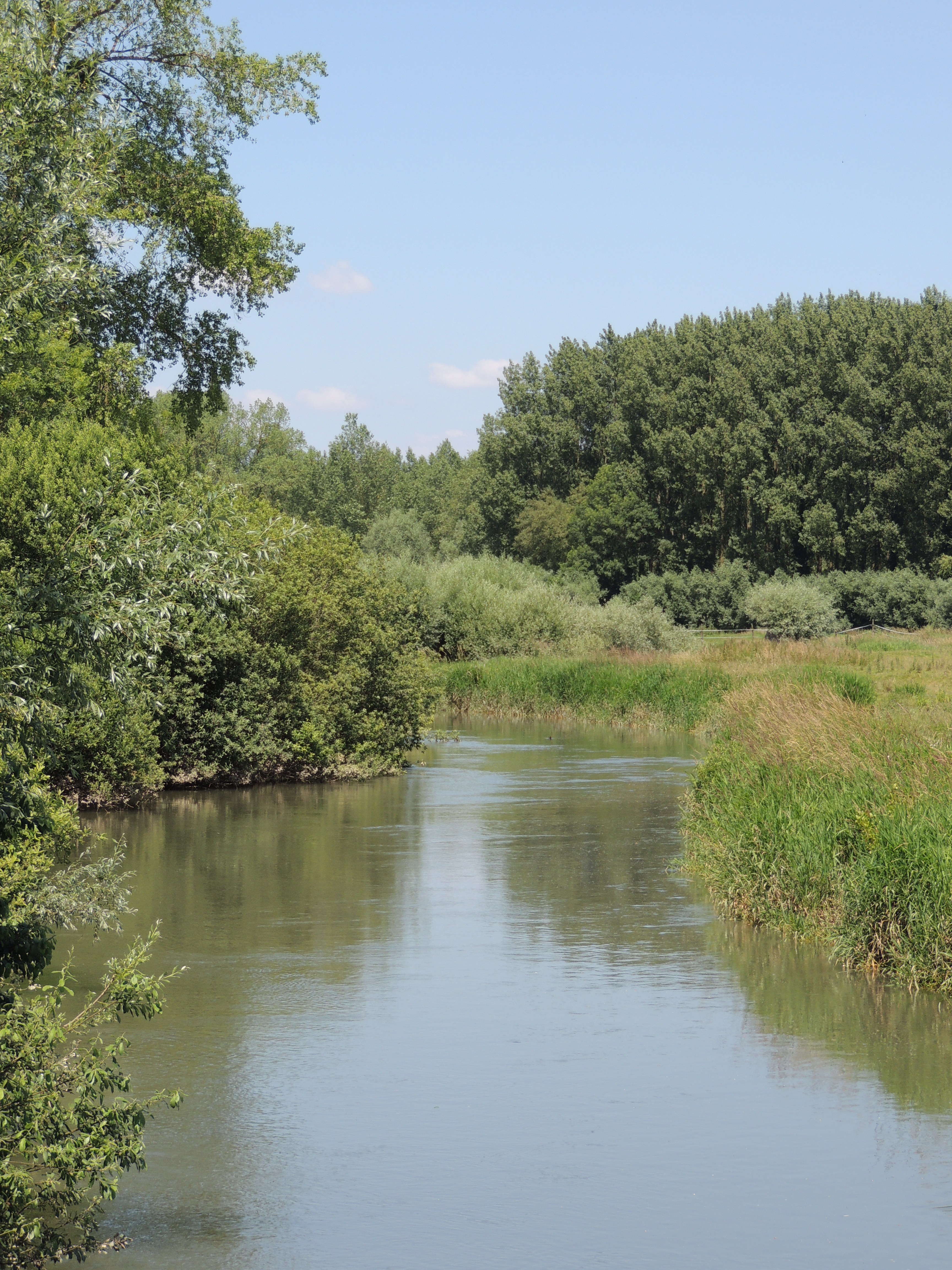 L'Authie à Beaumont