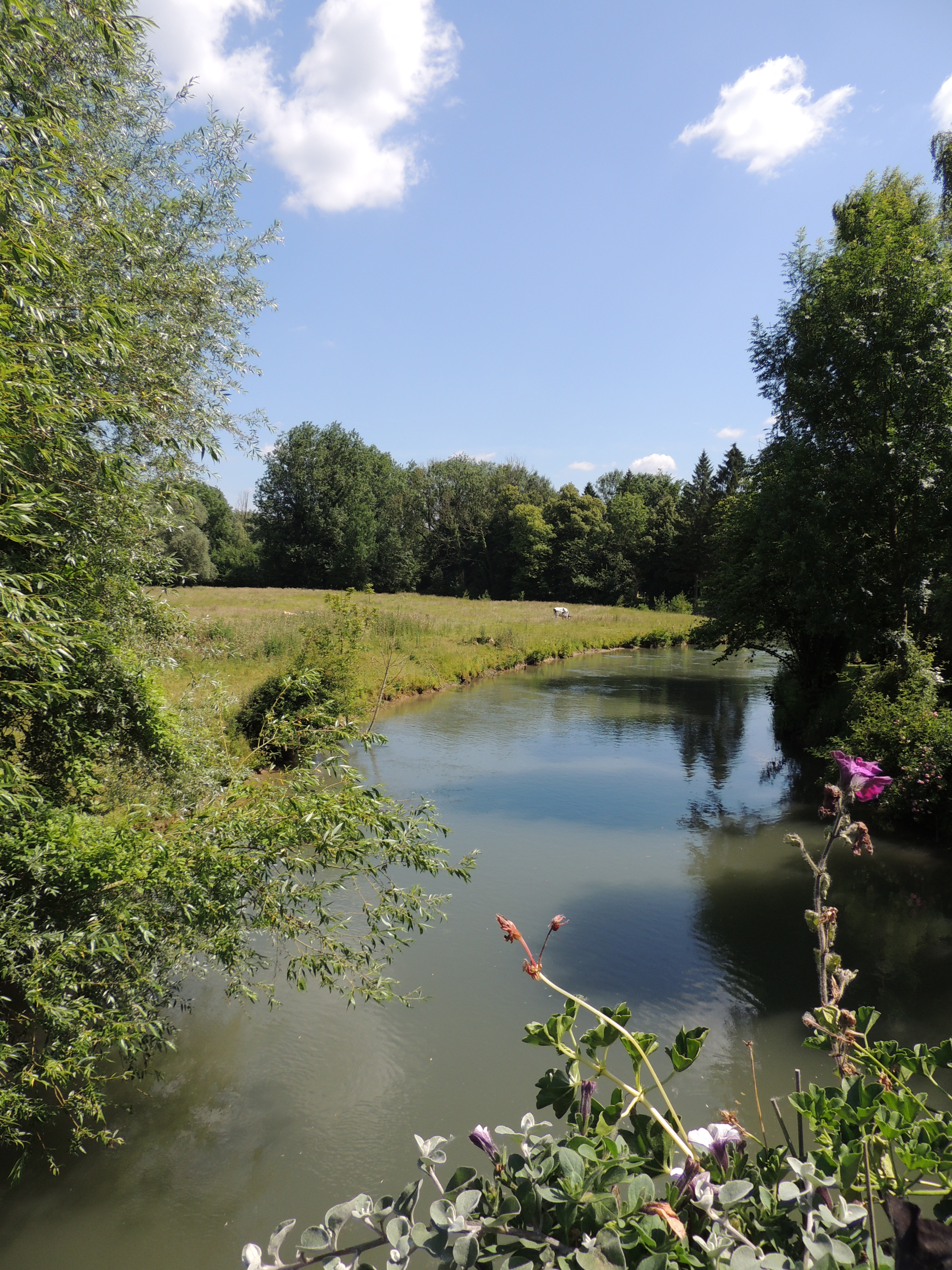La Canche à Beaurainville