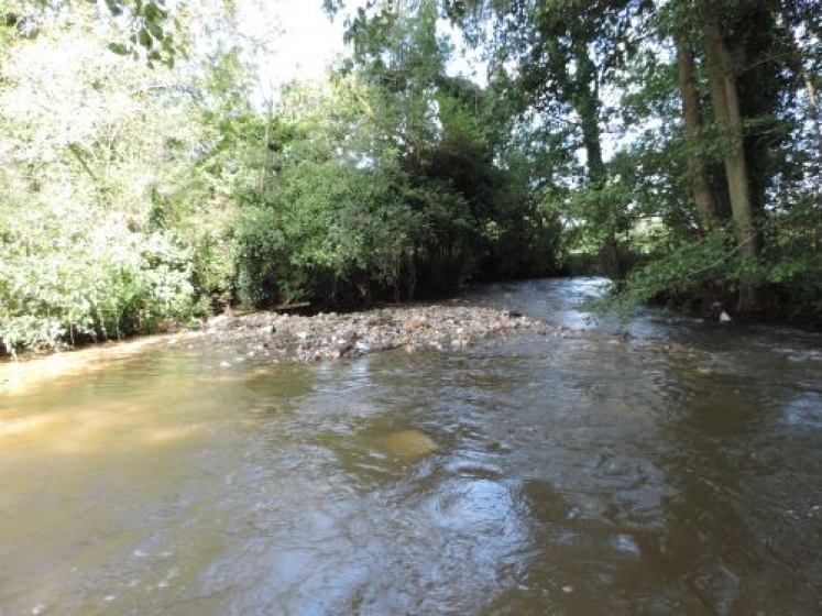 Des travaux de rétablissement de la continuité écologique de la Hem pour rétablir le bon fonctionnement de la vie aquatique