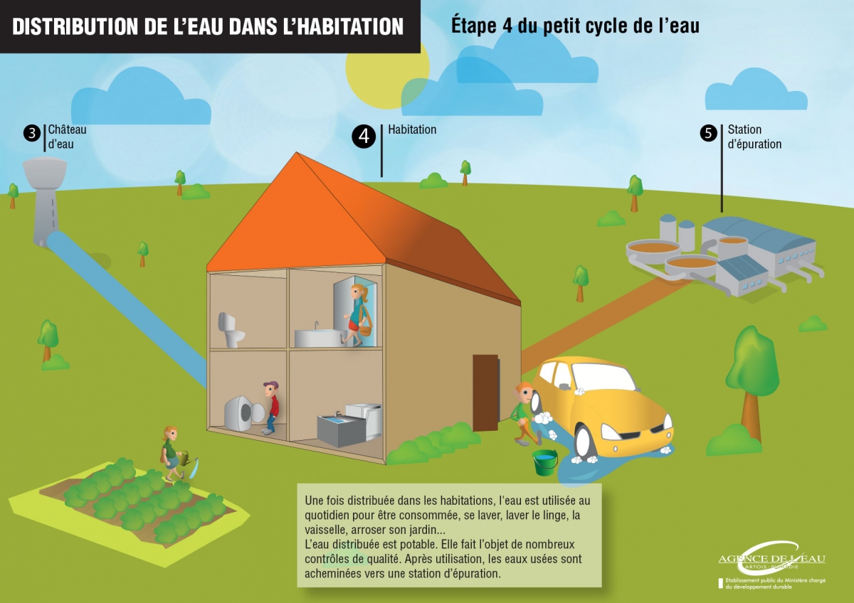 La distribution de l'eau - Etape 4 du petit cycle de l'eau 4_petit_cycle_eau_distribution.jpg