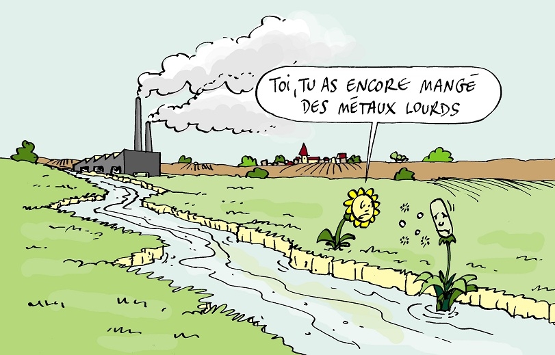 dessinsdelize14.jpg