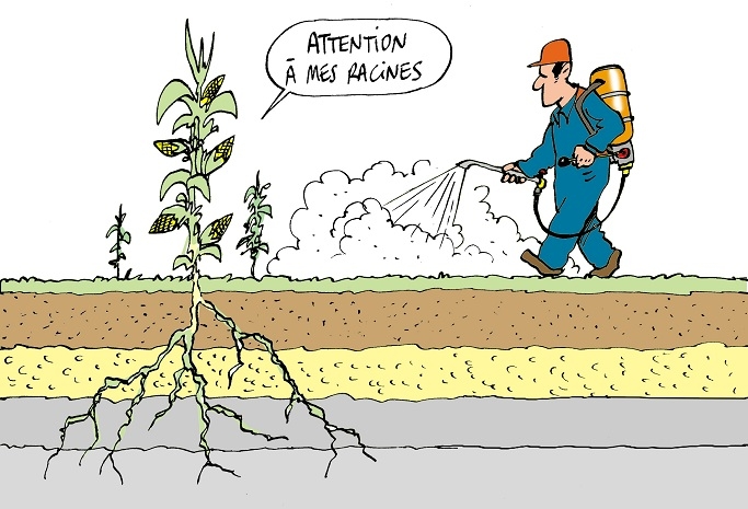 dessinsdelize24.jpg