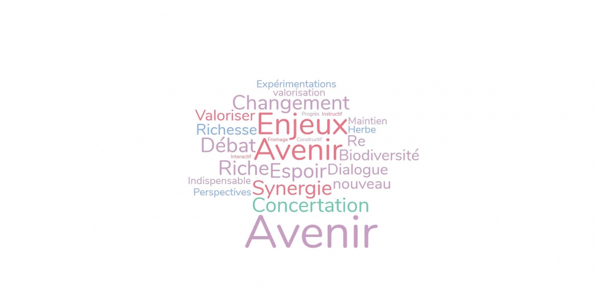 nuage-de-mots.jpg