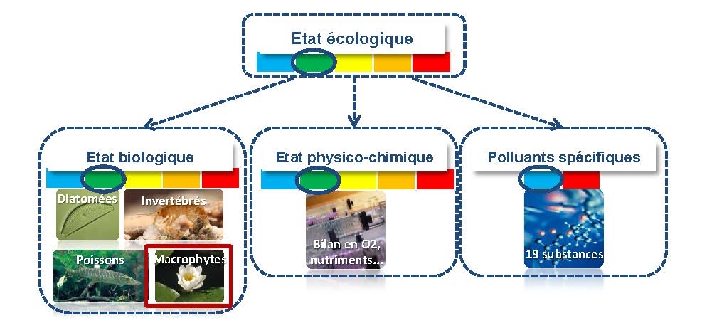 schema_bon_etat_bis.jpg