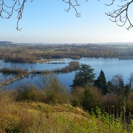 zh_anguillere_eclusier_vaux_12122012_m_arold_aeap_3.jpg