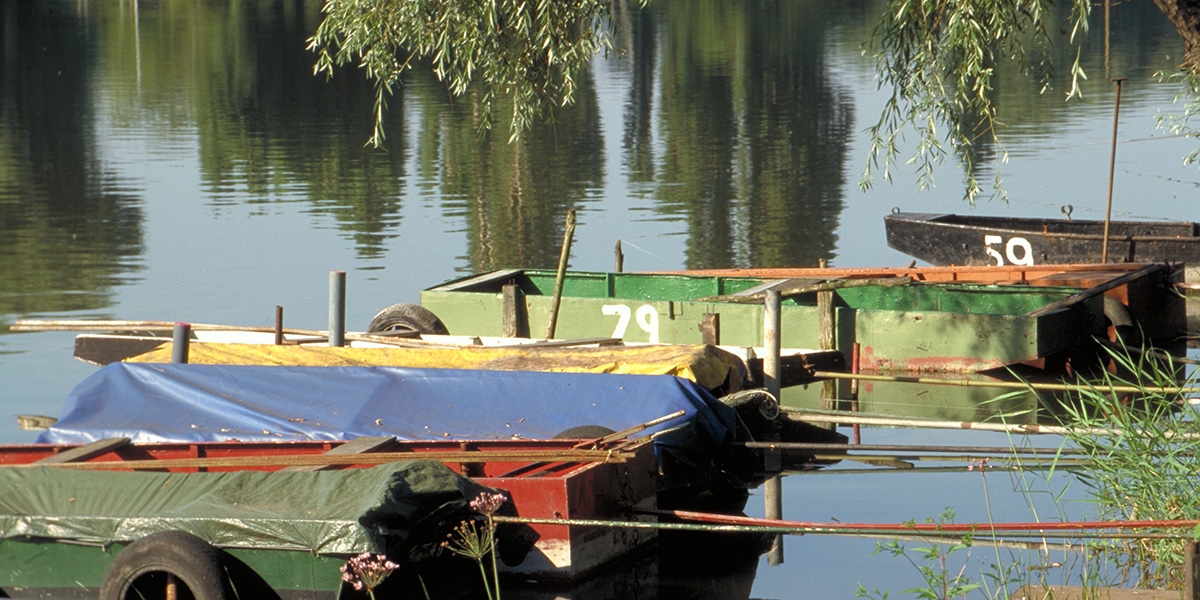 barques.jpg