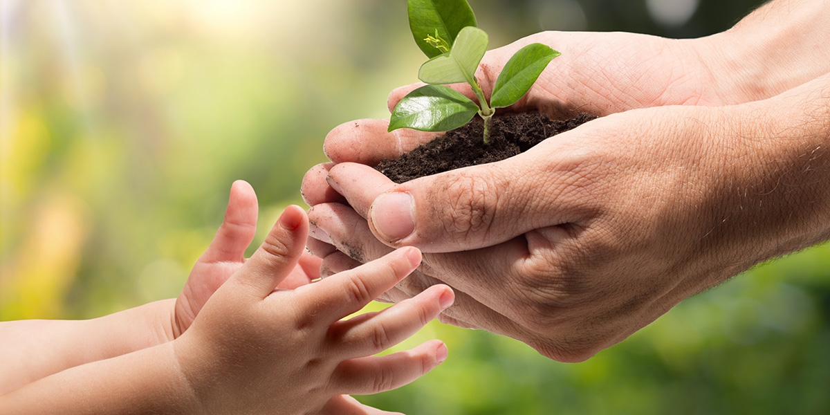 mains_enfant_et_adulte_fotolia_56327284.jpg