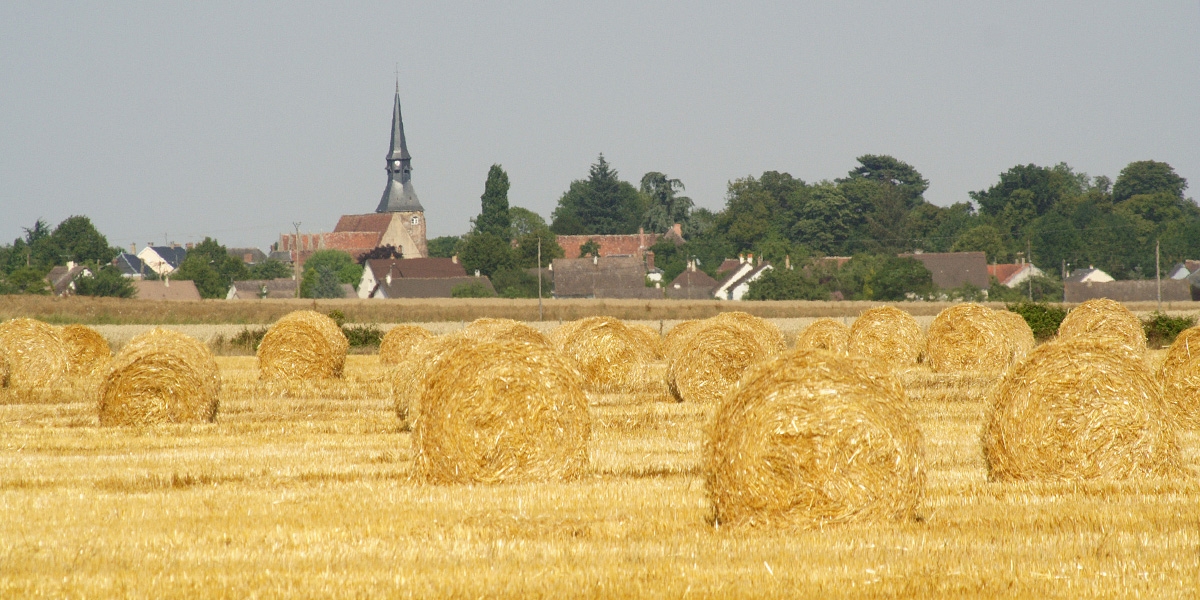 urbain-rural_fotolia_926851.jpg