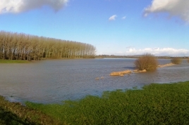 crue_14_janvier_zec_bourre_et_capucins_merville_20150114_sparmentier.jpg