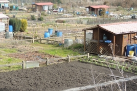 jardins_familiaux_dorignies_web.jpg