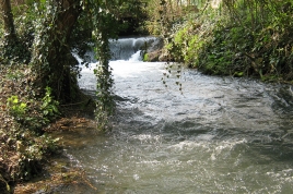 la_somme-ailly_marold-aeap_04152010_13.jpg